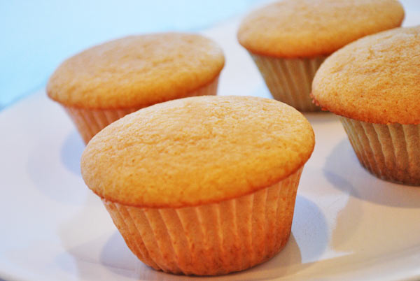Vanilla Muffins
